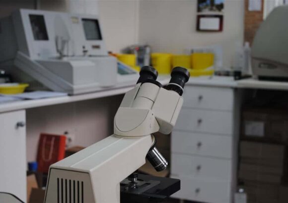 Dr. ΜΑΡΙΑ Χ. ΚΑΛΑΜΑΡΗ