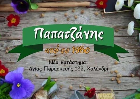 ΠΑΠΑΤΖΑΝΗΣ ΑΠΟ ΤΟ 1980-ΜΑΡΙΑ Θ. ΔΙΠΛΑ