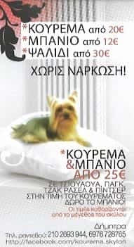 PETSTOP ΣΤΑΣΗ ΖΩΗΣ-ΒΑΖΑΙΟΥ ΔΗΜΗΤΡΑ
