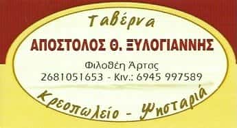 ΞΥΛΟΓΙΑΝΝΗΣ ΑΠΟΣΤΟΛΟΣ