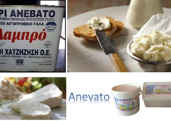 ΤΥΡΟΚΟΜΙΚΑ ΠΡΟΙΟΝΤΑ ΓΡΕΒΕΝΑ-ΑΦΟΙ ΧΑΤΖΗΖΗΣΗ Ο.Ε