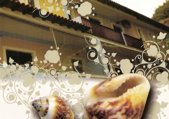 ΚΟΧΥΛΙ HOTEL – ΣΥΡΑΗΣ ΣΤΑΥΡΟΣ