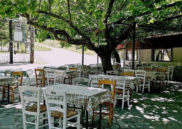 ΑΗΛΙΑΣ – ΜΕΛΙΟΠΟΥΛΟΣ ΑΘΑΝΑΣΙΟΣ – ΤΑΒΕΡΝΑ – ΡΙΖΩΜΑΤΑ ΗΜΑΘΙΑΣ