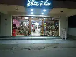 ΜΑΛΩΝΑ ΜΑΡΙΑ – ΑΝΘΟΠΩΛΕΙΟ MARIE FLEUR – ΑΦΑΝΤΟΥ ΡΟΔΟΣ ΔΩΔΕΚΑΝΗΣΑ