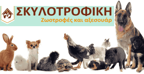 PET SHOP ΣΚΥΛΟΤΡΟΦΙΚΗ ΟΡΕΣΤΙΑΔΑ-ΜΠΟΙΔΑΝΙΔΟΥ ΜΑΡΙΑ