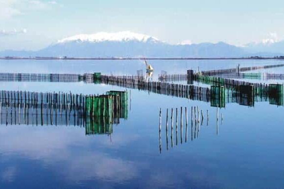 ΑΓΡΟΤΙΚΟΣ ΑΛΙΕΥΤΙΚΟΣ ΣΥΝΕΤΑΙΡΙΣΜΟΣ Α.Σ. ΛΙΜΝΟΘΑΛΑΣΣΩΝ ΚΕΡΑΜΩΤΗΣ ΚΑΒΑΛΑΣ