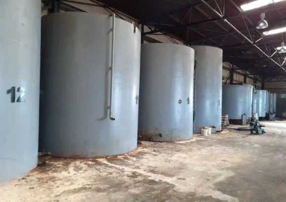 ΜΑΚΡΙΔΗΣ ΔΗΜΗΤΡΙΟΣ – ΑΝΑΚΥΚΛΩΣΗ ΕΜΠΟΡΙΟ ΧΡΗΣΙΜΟΠΟΙΗΜΕΝΩΝ ΦΥΤΙΚΩΝ ΕΛΑΙΩΝ – ΤΗΓΑΝΕΛΑΙΑ – ΣΙΝΔΟΣ ΘΕΣΣΑΛΟΝΙΚΗ