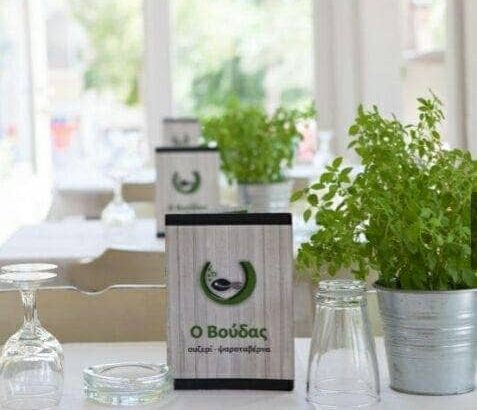 Ο ΒΟΥΔΑΣ – ΛΥΜΠΕΡΗ ΠΑΝΑΓΙΩΤΑ – ΟΥΖΕΡΙ – ΚΑΛΑΜΑΡΙΑ ΘΕΣΣΑΛΟΝΙΚΗ