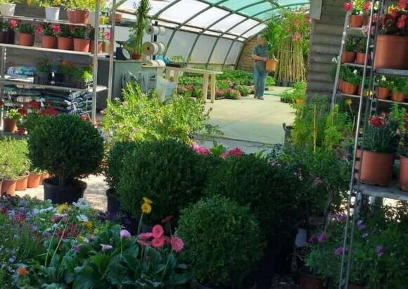 ΦΥΤΩΡΙΑ ΡΕΜΟΥΝΤΗΣ – ΡΕΜΟΥΝΤΗΣ ΓΕΩΡΓΙΟΣ – ΦΥΤΩΡΙΟ – ΛΗΞΟΥΡΙ ΚΕΦΑΛΛΗΝΙΑΣ