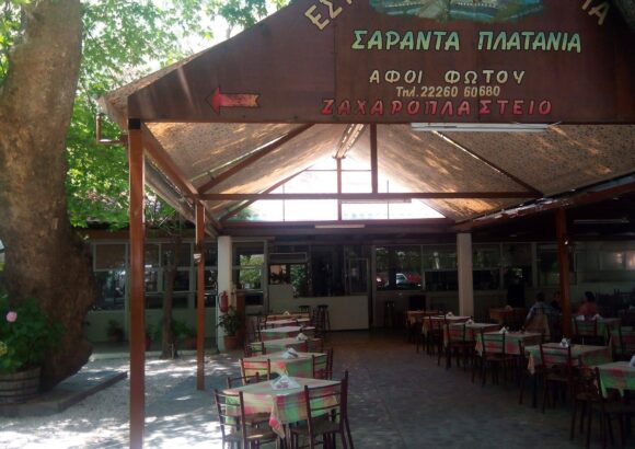 ΚΩΝΤΟΓΙΑΝΝΗ ΣΟΦΙΑ ΤΟΥ ΚΩΝΣΤΑΝΤΙΝΟΥ – 40 ΠΛΑΤΑΝΙΑ – ΤΑΒΕΡΝΑ – ΛΟΥΤΡΑ ΑΙΔΗΨΟΥ ΕΥΒΟΙΑΣ