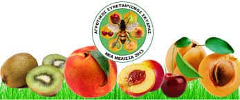 Η ΝΕΑ ΜΕΛΙΣΣΑ – ΑΓΡΟΤΙΚΟΣ ΣΥΝΕΤΑΙΡΙΣΜΟΣ ΣΚΥΔΡΑΣ