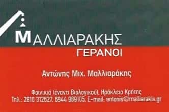 ΑΝΥΨΩΤΙΚΑ ΜΗΧΑΝΗΜΑΤΑ ΗΡΑΚΛΕΙΟ ΚΡΗΤΗΣ-ΜΑΛΛΙΑΡΑΚΗΣ ΑΝΤΩΝΗΣ