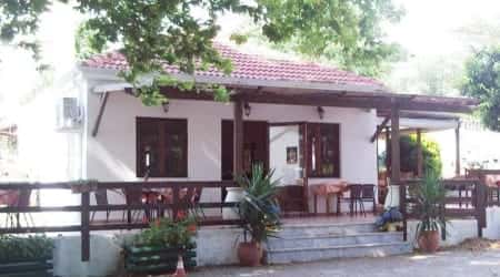 Ο ΤΖΙΤΖΙΚΑΣ – ΝΤΕΜΙΡΟΚ ΧΑΣΑΝ – ΤΑΒΕΡΝΑ ΜΑΡΓΑΡΩΝΑΣ ΠΡΕΒΕΖΑ ΗΠΕΙΡΟΣ