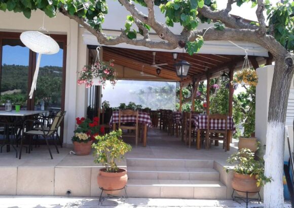 ΔΟΥΔΑΛΗ ΜΑΡΙΑ – Ο ΚΟΥΚΟΥΡΙΚΟΣ – ΤΑΒΕΡΝΑ – ΜΑΚΡΥΜΑΛΛΗ ΨΑΧΝΑ ΕΥΒΟΙΑΣ