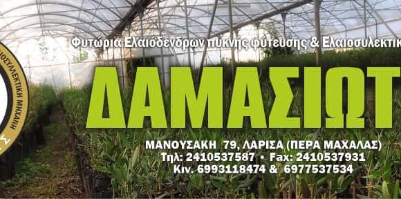 ΔΑΜΑΣΙΩΤΗΣ ΕΛΕΥΘΕΡΙΟΣ – ΔΑΜΑΣΙΩΤΗΣ ΦΥΤΩΡΙΑ – ΦΥΤΩΡΙΟ – ΛΑΡΙΣΑ ΘΕΣΣΑΛΙΑ