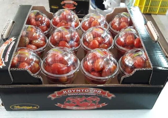 ΚΟΥΝΤΟΥΡΑΣ ΚΗΠΕΥΤΙΚΑ – ΛΑΧΑΝΙΚΑ ΠΑΛΑΙΟΧΩΡΑ ΧΑΝΙΑ ΑΓΡΟΤΙΚΟΣ ΣΥΝΕΤΑΙΡΙΣΜΟΣ ΠΑΡΑΓΩΓΩΝ ΚΗΠΕΥΤΙΚΩΝ