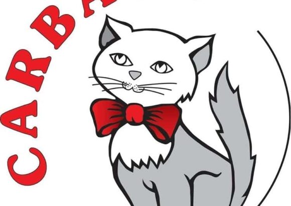 ΕΙΔΗ ΚΑΙ ΥΛΙΚΑ ΚΑΘΑΡΙΣΜΟΥ ΑΧΑΡΝΕΣ | CARBAC Ε.Ε