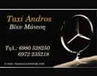 ΥΠΗΡΕΣΙΕΣ TAXI ΑΝΔΡΟΣ-ΜΑΝΕΣΗ ΒΙΚΥ