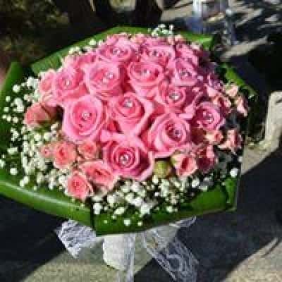 ΑΝΘΟΠΩΛΕΙΟ “ΓΑΡΔΕΝΙΑ” ΗΡΑΚΛΕΙΟ ΚΡΗΤΗΣ-ΣΤΑΥΡΑΚΑΚΗ ΜΑΡΙΑ