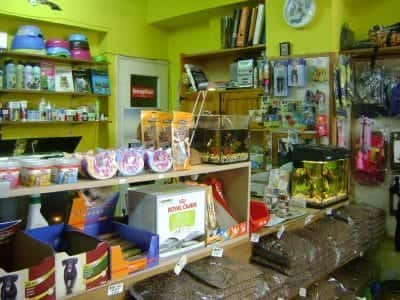 ΚΑΝΝΕΛΗΣ PET-PET SHOP ΖΩΓΡΑΦΟΥ ΑΤΤΙΚΗΣ-ΤΣΟΥΚΑΛΑ ΕΥΑΓΓΕΛΙΑ