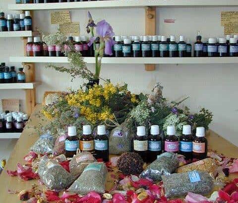 MARIANNA’S WORK SHOP- ΦΥΤΙΚΑ ΕΚΧΥΛΙΣΜΑΤΑ- ΒΟΤΑΝΑ – ΦΑΡΜΑΚΕΥΤΙΚΑ (ΦΟΥΝΤΗ ΜΑΡΙΑ)/ΜΑΡΟΥΛΑΣ -Ν. ΡΕΘΥΜΝΟΥ