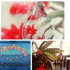 ΠΑΤΣΙΑ ΓΕΩΡΓΙΑ – ΧΟΧΛΑΚΟΙ – ΨΑΡΟΤΑΒΕΡΝΑ – ΜΑΝΔΡΑΚΙ ΝΙΣΥΡΟΣ ΔΩΔΕΚΑΝΗΣΑ