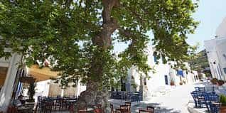 ΔΕΣΥΠΡΗΣ ΕΥΑΓΓΕΛΟΣ – ΔΥΟ ΧΩΡΙΑ – ΤΑΒΕΡΝΑ – ΤΗΝΟΣ ΚΥΚΛΑΔΕΣ