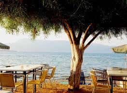 ΤΑΒΕΡΝΑ ΑΛΥΚΕΣ – ΒΟΥΡΓΙΔΗΣ ΙΩΑΝΝΗΣ ΤΑΒΕΡΝΑ ΠΟΤΑΜΟΣ ΚΕΡΚΥΡΑ