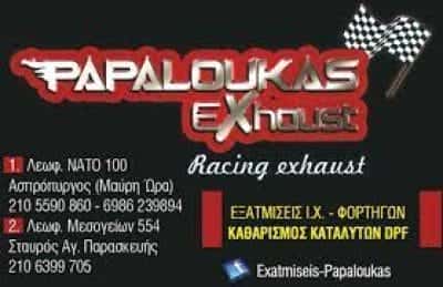 ΠΑΠΑΛΟΥΚΑΣ ΑΝΑΣΤΑΣΙΟΣ | ΕΞΑΤΜΙΣΕΙΣ ΑΥΤΟΚΙΝΗΤΩΝ ΑΣΠΡΟΠΥΡΓΟΣ